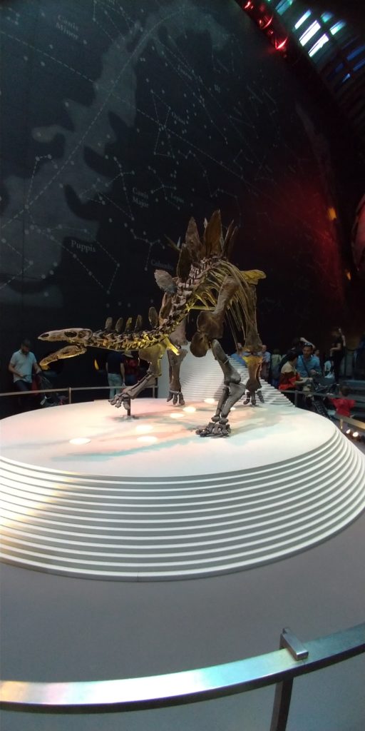 ナショナルヒストリーミュージアムの恐竜の標本